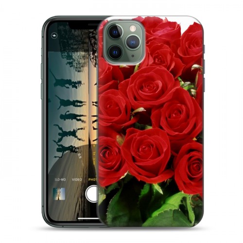 Дизайнерский пластиковый чехол для Iphone 11 Pro Max Розы