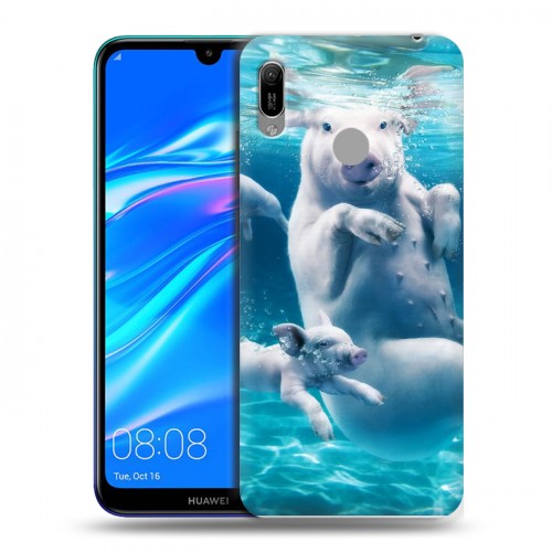 Дизайнерский пластиковый чехол для Huawei Y6 (2019) Свинки