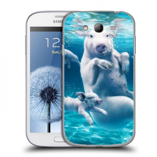 Дизайнерский пластиковый чехол для Samsung Galaxy Grand Свинки