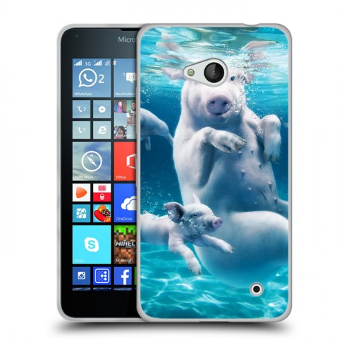 Дизайнерский пластиковый чехол для Microsoft Lumia 640 Свинки