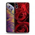 Дизайнерский силиконовый чехол для Iphone Xs Max Розы