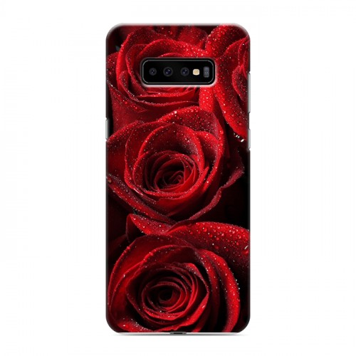 Дизайнерский пластиковый чехол для Samsung Galaxy S10 Plus Розы