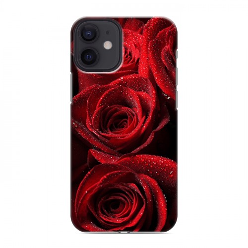 Дизайнерский силиконовый с усиленными углами чехол для Iphone 12 Mini Розы