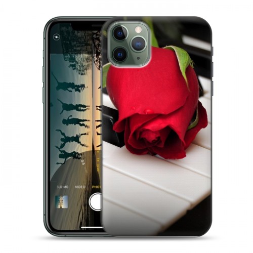 Дизайнерский пластиковый чехол для Iphone 11 Pro Max Розы