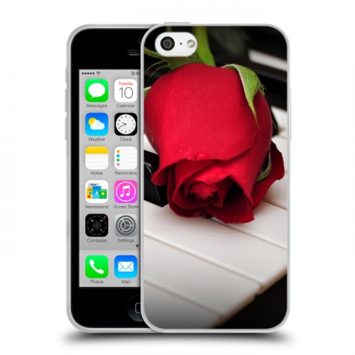 Дизайнерский пластиковый чехол для Iphone 5c Розы