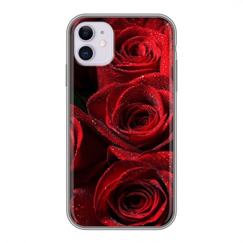 Дизайнерский пластиковый чехол для Iphone 11 Розы