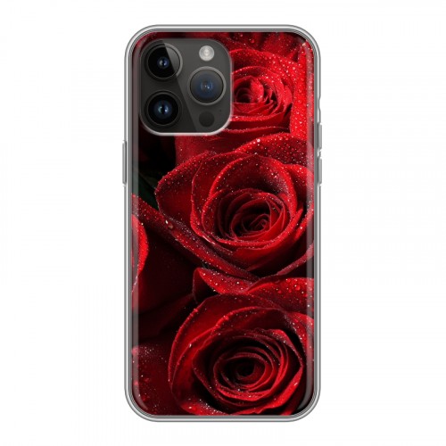 Дизайнерский пластиковый чехол для Iphone 14 Pro Max Розы
