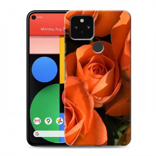 Дизайнерский пластиковый чехол для Google Pixel 5 Розы
