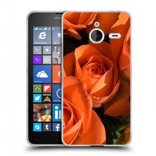 Дизайнерский пластиковый чехол для Microsoft Lumia 640 XL Розы