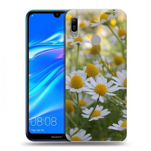 Дизайнерский пластиковый чехол для Huawei Y6 (2019) Ромашки