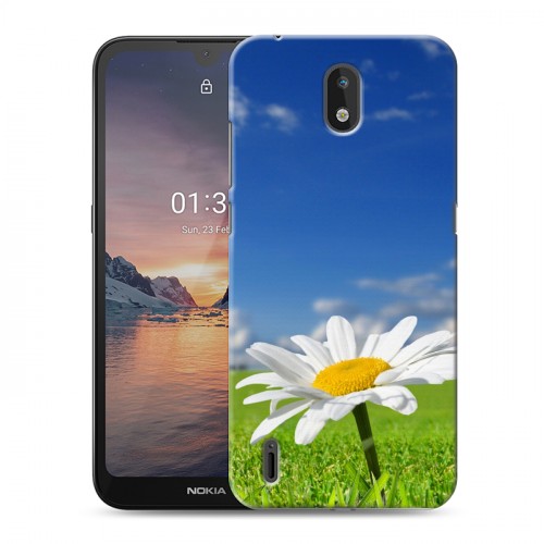 Дизайнерский силиконовый чехол для Nokia 1.3 Ромашки