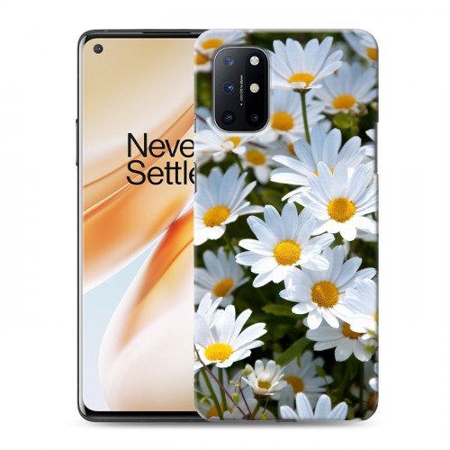 Дизайнерский пластиковый чехол для OnePlus 8T Ромашки