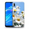 Дизайнерский пластиковый чехол для Huawei Y6 (2019) Ромашки