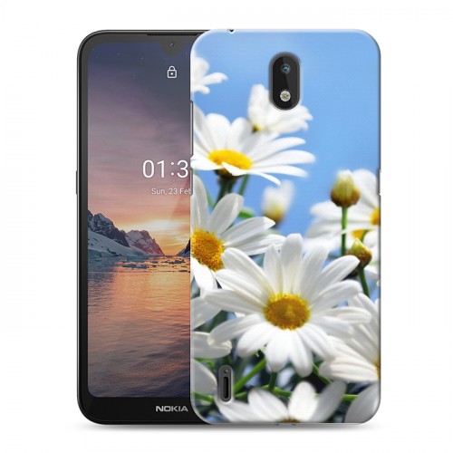 Дизайнерский силиконовый чехол для Nokia 1.3 Ромашки