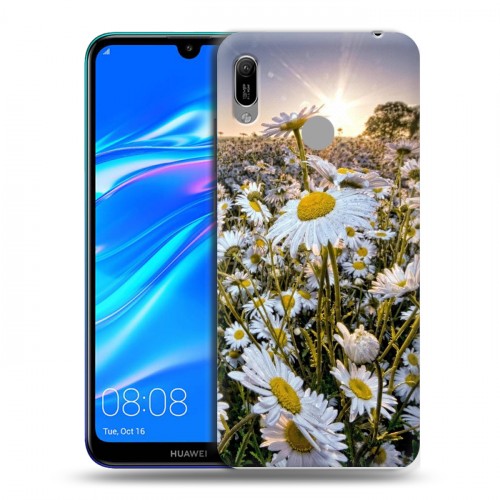 Дизайнерский пластиковый чехол для Huawei Y6 (2019) Ромашки