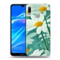 Дизайнерский пластиковый чехол для Huawei Y6 (2019) Ромашки