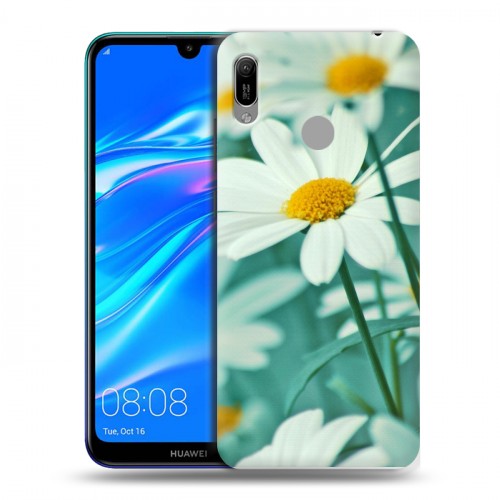 Дизайнерский пластиковый чехол для Huawei Y6 (2019) Ромашки