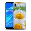 Дизайнерский пластиковый чехол для Huawei Y6 (2019) Ромашки