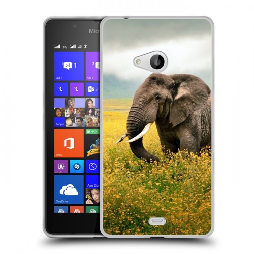 Дизайнерский пластиковый чехол для Microsoft Lumia 540 Слоны