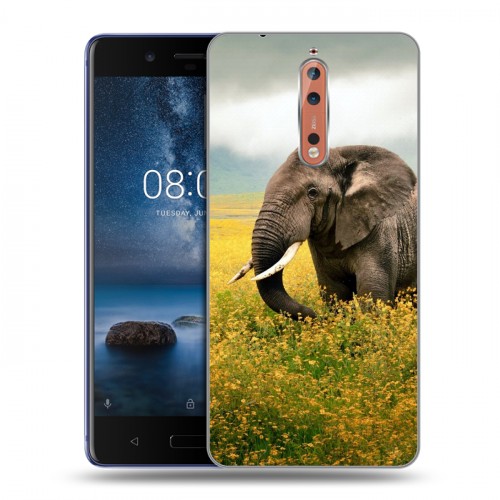 Дизайнерский пластиковый чехол для Nokia 8 Слоны