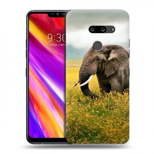 Дизайнерский пластиковый чехол для LG G8 ThinQ Слоны