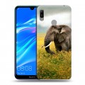 Дизайнерский пластиковый чехол для Huawei Y6 (2019) Слоны