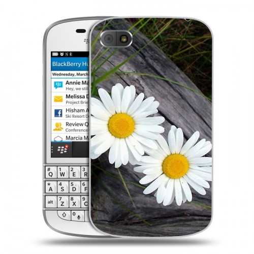 Дизайнерский пластиковый чехол для BlackBerry Q10 Ромашки