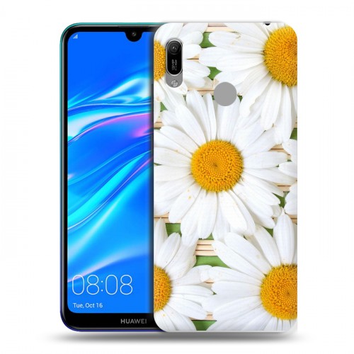 Дизайнерский пластиковый чехол для Huawei Y6 (2019) Ромашки