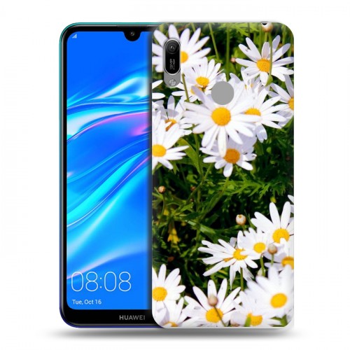 Дизайнерский пластиковый чехол для Huawei Y6 (2019) Ромашки