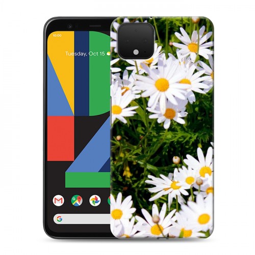 Дизайнерский пластиковый чехол для Google Pixel 4 Ромашки