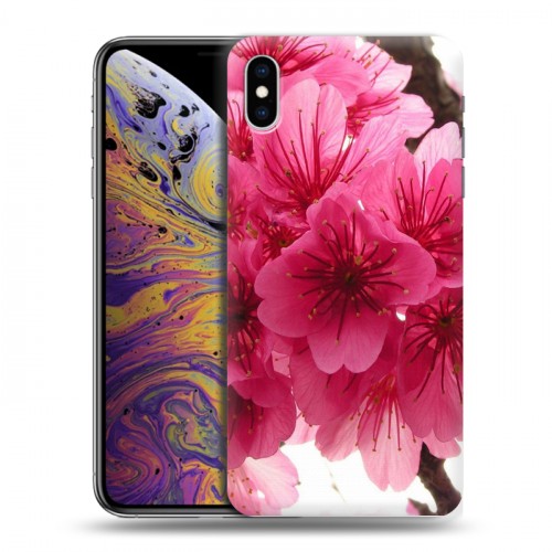 Дизайнерский силиконовый чехол для Iphone Xs Max Сакура