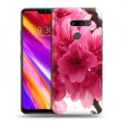 Дизайнерский пластиковый чехол для LG G8 ThinQ Сакура