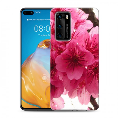 Дизайнерский пластиковый чехол для Huawei P40 Сакура