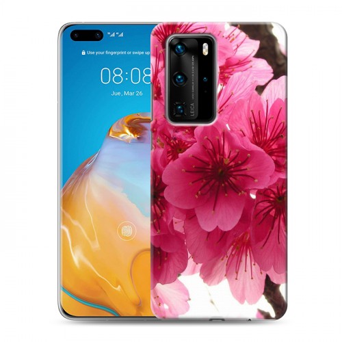 Дизайнерский пластиковый чехол для Huawei P40 Pro Сакура