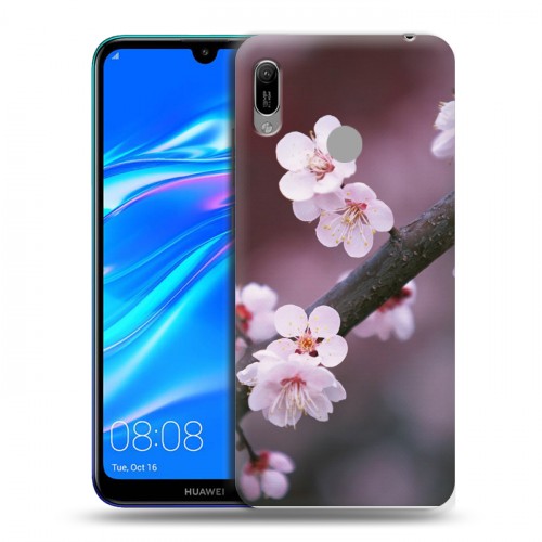 Дизайнерский пластиковый чехол для Huawei Y6 (2019) Сакура