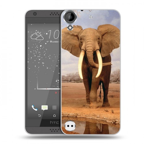 Дизайнерский пластиковый чехол для HTC Desire 530 Слоны