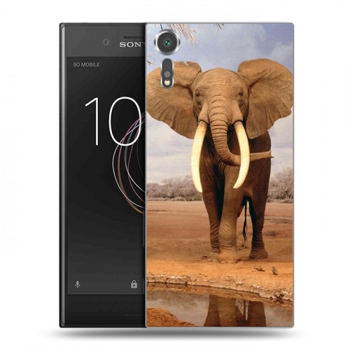 Дизайнерский пластиковый чехол для Sony Xperia XZs Слоны