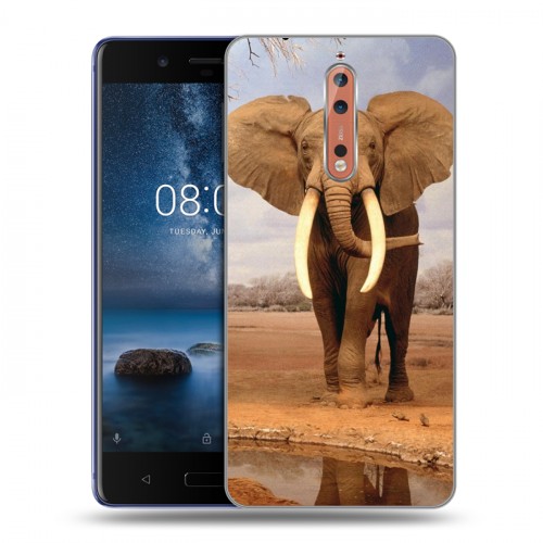 Дизайнерский пластиковый чехол для Nokia 8 Слоны