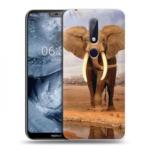 Дизайнерский пластиковый чехол для Nokia 6.1 Plus Слоны