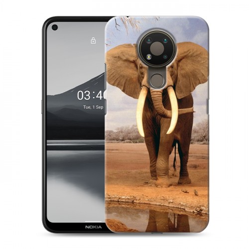 Дизайнерский силиконовый чехол для Nokia 3.4 Слоны