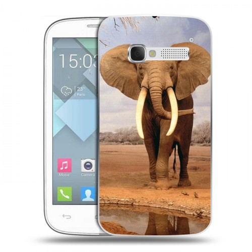 Дизайнерский пластиковый чехол для Alcatel One Touch Pop C5 Слоны