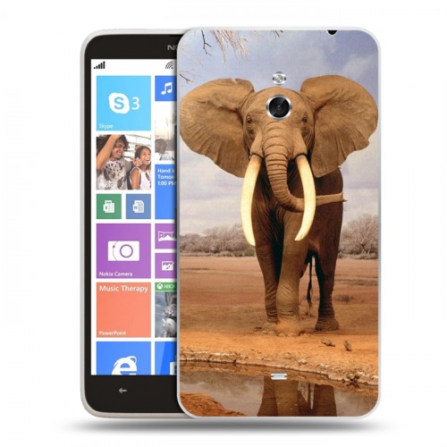 Дизайнерский пластиковый чехол для Nokia Lumia 1320 Слоны