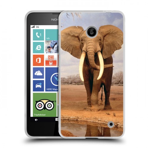 Дизайнерский пластиковый чехол для Nokia Lumia 630/635 Слоны