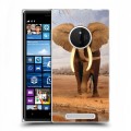 Дизайнерский пластиковый чехол для Nokia Lumia 830 Слоны