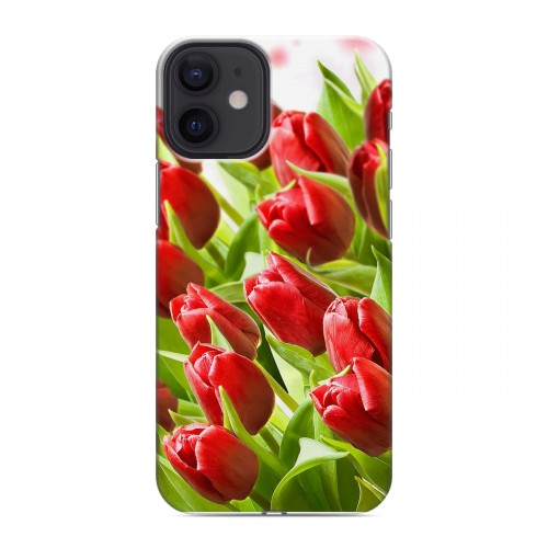 Дизайнерский пластиковый чехол для Iphone 12 Mini Тюльпаны