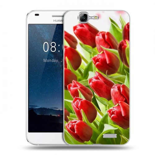 Дизайнерский пластиковый чехол для Huawei Ascend G7 Тюльпаны