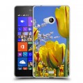 Дизайнерский пластиковый чехол для Microsoft Lumia 540 Тюльпаны