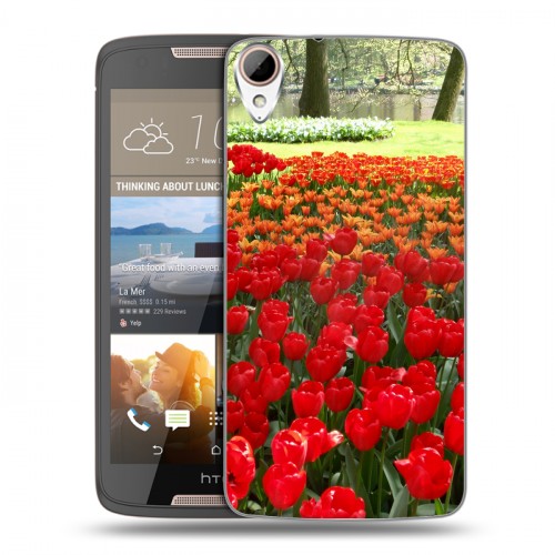 Дизайнерский пластиковый чехол для HTC Desire 828 Тюльпаны