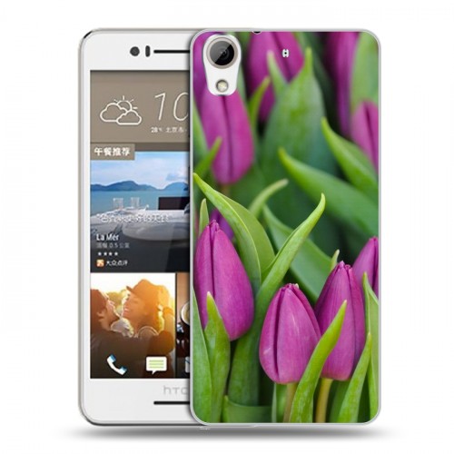 Дизайнерский пластиковый чехол для HTC Desire 728 Тюльпаны
