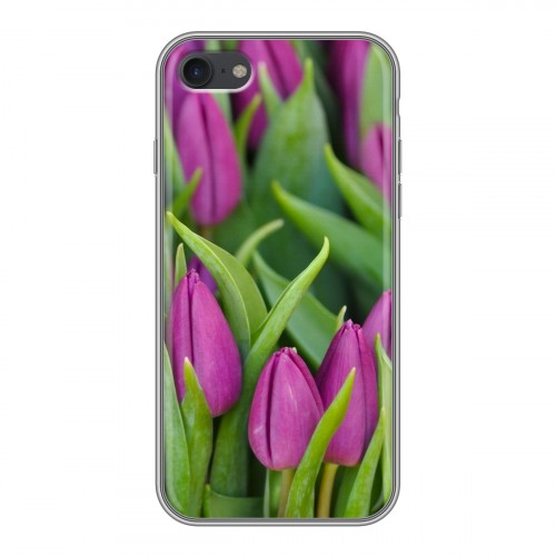 Дизайнерский силиконовый чехол для Iphone 7 Тюльпаны